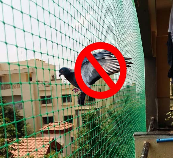 Pigeon Nets Installation in Pune – Ambe Bird Net Service in Mumbai